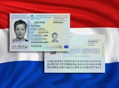 Netherlands ID cards