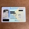 Netherlands ID cards