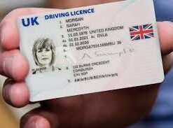 British drivers license